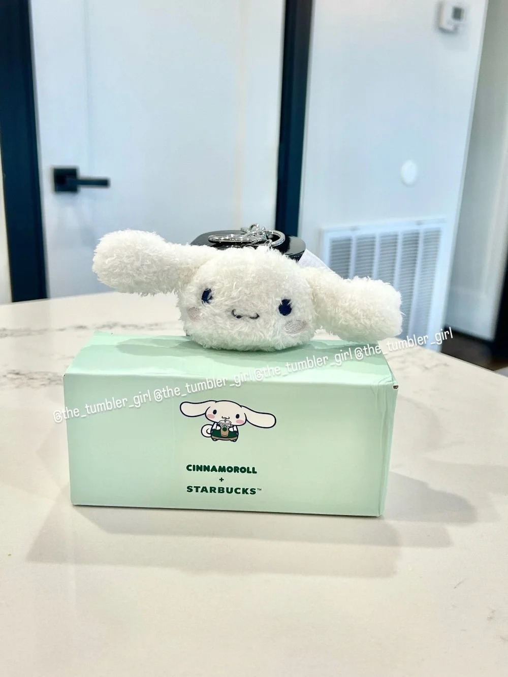 Starbucks Philippines Exclusive Cinnamoroll Series Plushie Keychain
